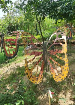 dinesh-singh-panwar-h-_FYfKe8Qw-unsplash